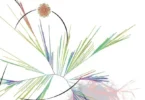 Bacterial Genomes: Trees and Networks 1st Edition