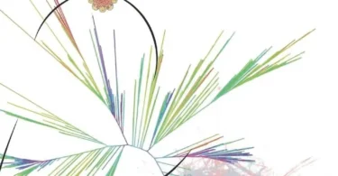 Bacterial Genomes: Trees and Networks 1st Edition