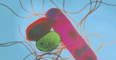 Collins and Lyne's Microbiological Methods, 8th Edition