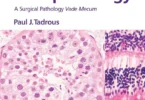 Diagnostic Criteria Handbook in Histopathology: A Surgical Pathology Vade Mecum