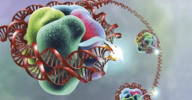 Genetics: A Conceptual Approach, 7th Edition