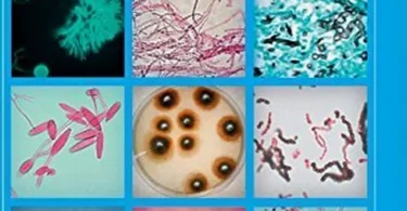 Identification of Pathogenic Fungi, Second Edition