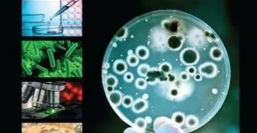Microbiological Examination Methods of Food and Water: A Laboratory Manual
