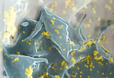 Microbiology: A Systems Approach - M. Kelly Cowan