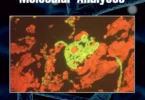 Molecular Analyses (Medical Genomics and Proteomics)