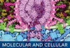 Molecular and Cellular Biology of Viruses, 2nd Edition