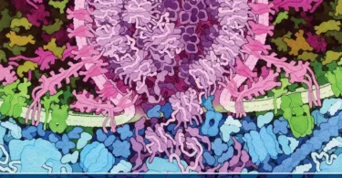Molecular and Cellular Biology of Viruses, 2nd Edition
