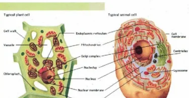 Principles of Microbiology - M. S. Bhatia