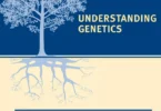Understanding Genetics (Genetic Alliance Project Staff)