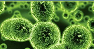 Immunology for Pharmacy