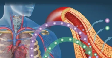 Molecular Nutrition and Diabetes: A Volume in the Molecular Nutrition Series